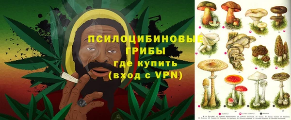 дурь Арсеньев
