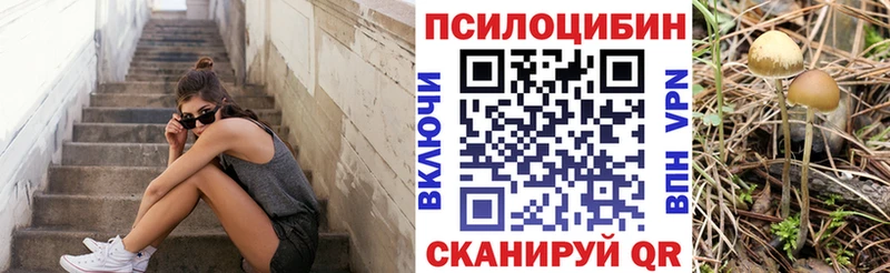 Галлюциногенные грибы MAGIC MUSHROOMS  площадка телеграм  Ессентуки  купить наркотик 