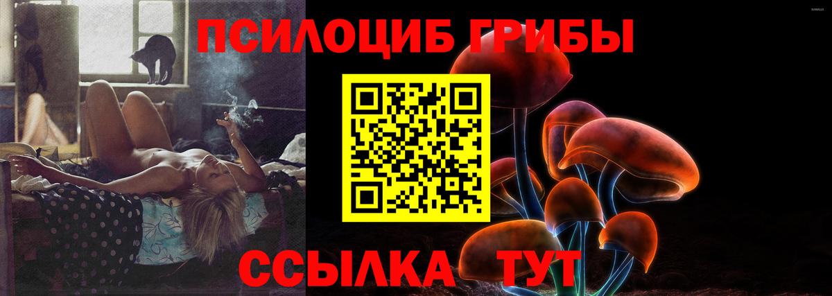 Галлюциногенные грибы Magic Shrooms  Галлюциногенные грибы GOLDEN TEACHER  Вход с VPN  Ессентуки 